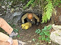 IMG_0856