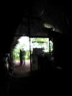 IMG_0423.jpg