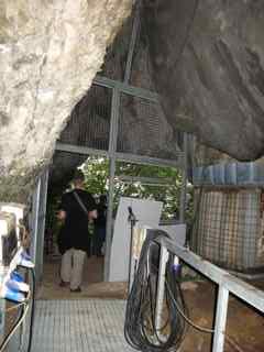 IMG_0424.jpg