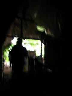 IMG_0425.jpg