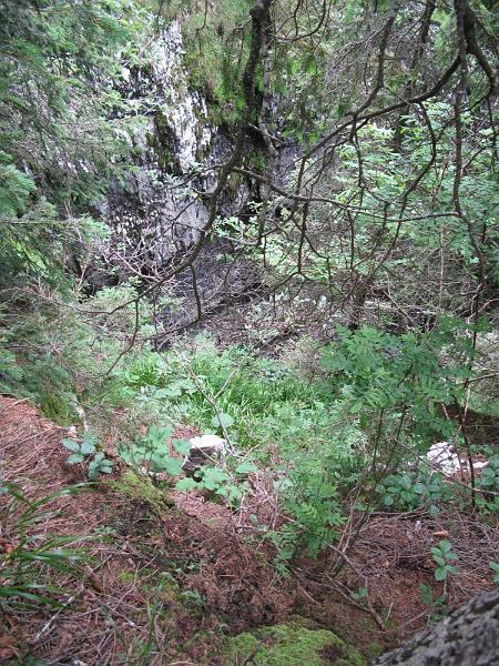 IMG_0516.JPG