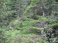 IMG_0514