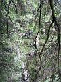 IMG_0517
