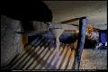DSC_0630_1024x686