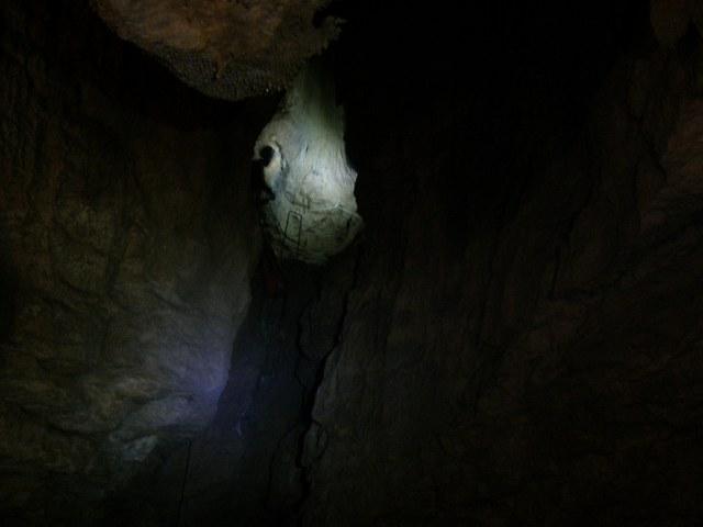 Pisatela32.JPG